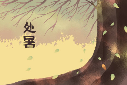 处暑吃哪些蔬菜好 有健脾胃的功效 处暑吃哪些蔬菜好 有健脾胃的功效