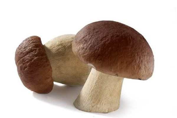 蘑菇可以隔夜吃吗 蘑菇可以放冰箱保鲜吗 蘑菇可以隔夜吃吗 蘑菇可以放冰箱保鲜吗