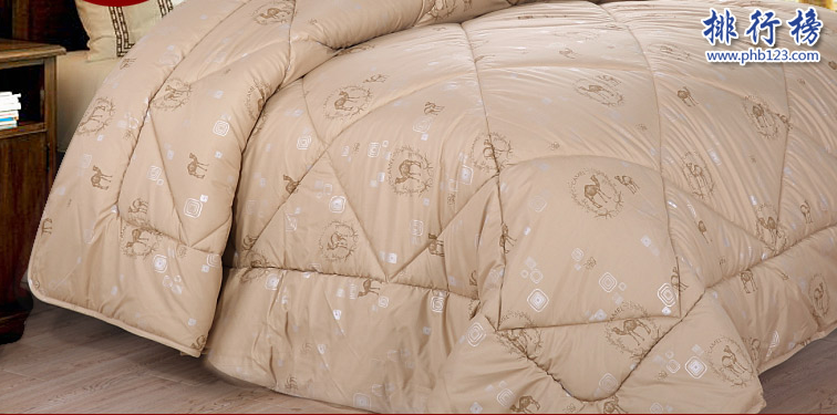 驼绒被十大品牌排行榜:驼绒被什么牌子好?