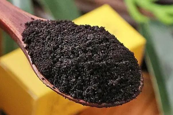 麝香对肿瘤的功效 麝香对女人的危害 麝香对肿瘤的功效 麝香对女人的危害