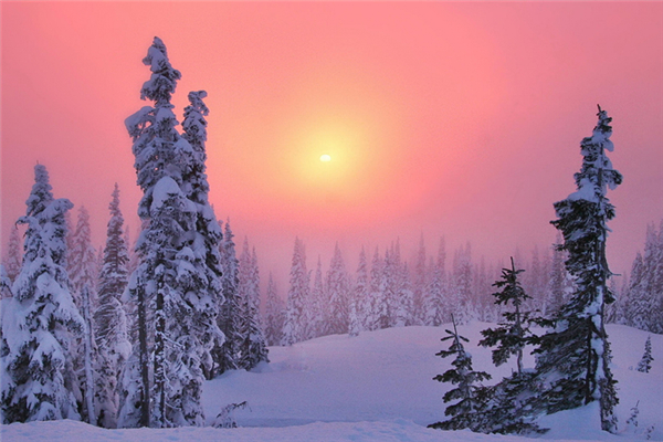 冬季吃什么养胃又补胃 冬季吃什么滋补身子 冬季吃什么养胃又补胃 冬季吃什么滋补身子