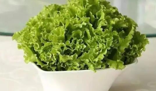 宝宝可以吃生菜吗?多大的宝宝可以吃生菜?