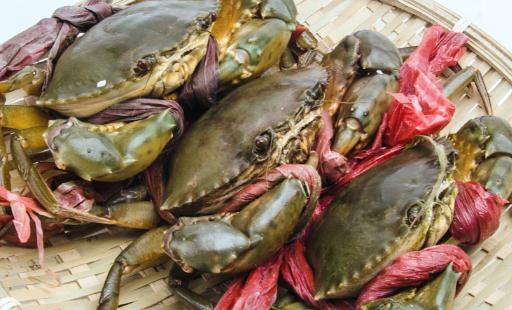 螃蟹和什么一起搭配吃最好 螃蟹吃完不舒服怎么办