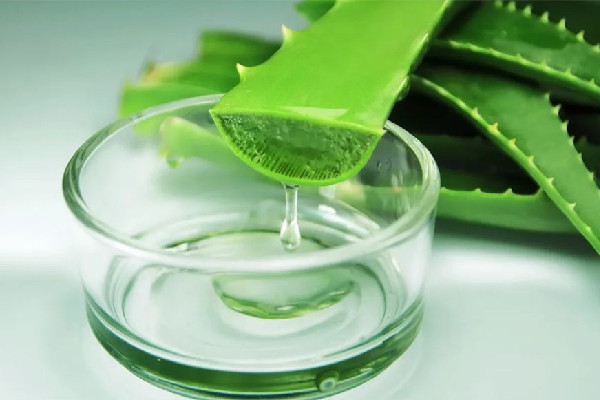 芦荟胶对晒伤有作用吗 芦荟胶晒伤后怎么用 芦荟胶对晒伤有作用吗 芦荟胶晒伤后怎么用