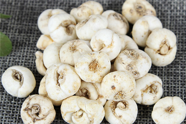 平贝母可以炖雪梨吗 平贝母煮梨多久能吃 平贝母可以炖雪梨吗 平贝母煮梨多久能吃