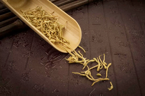 金银花泡水哪些人不能喝 金银花泡水是苦的吗 金银花泡水哪些人不能喝 金银花泡水是苦的吗