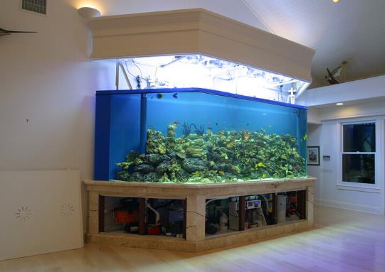 亚克力鱼缸好还是玻璃鱼缸好?亚克力鱼缸为啥淘汰了?