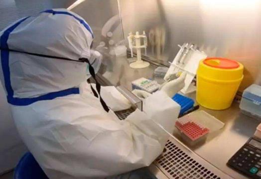 上高速可以用核酸检测电子报告吗?上高速核酸检测是48小时内有效吗