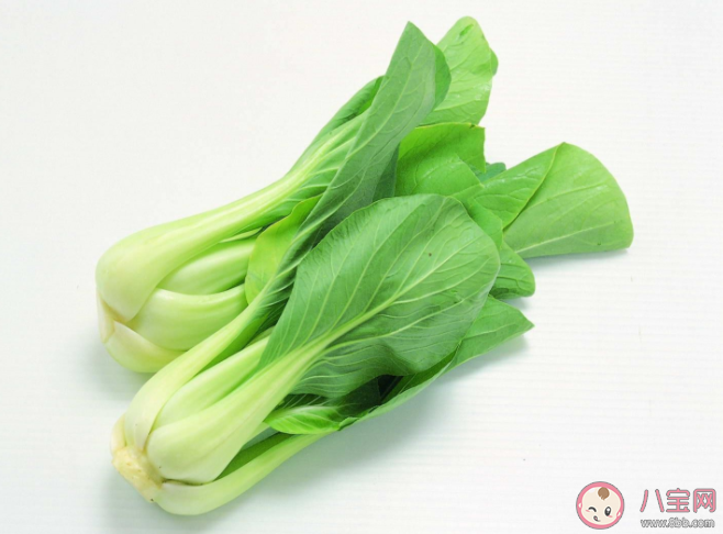 青菜为什么比肉贵了 蔬菜价格什么时候正常