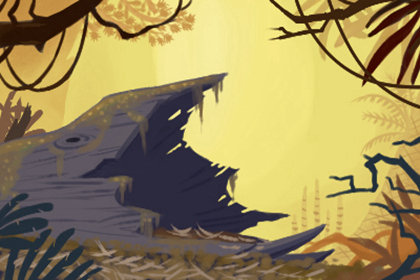 饮食文化 饮食文化