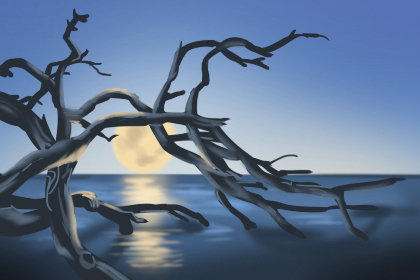 盒饭如何保温?让你吃上最热乎的快餐 盒饭如何保温?让你吃上最热乎的快餐