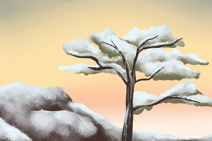 霜降养生应该注意什么 有哪些方法 霜降养生应该注意什么 有哪些方法