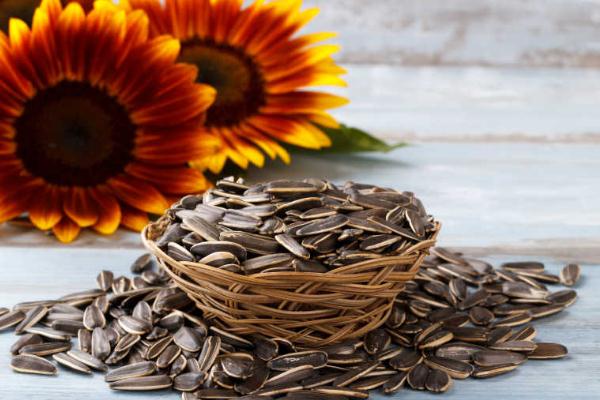 葵瓜子的营养价值及功效与作用 葵瓜子好处和坏处 葵瓜子的营养价值及功效与作用 葵瓜子好处和坏处