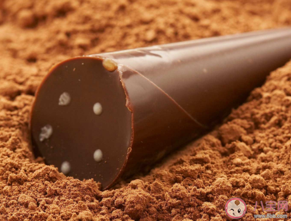 可以给孩子吃巧克力吗 孩子可以吃巧克力制品吗