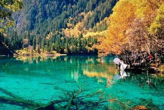 用行程卡需要打开蓝牙吗?行程卡可以登录几次?