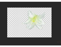 ps钢笔工具抠图教程 你学会抠图了吗6