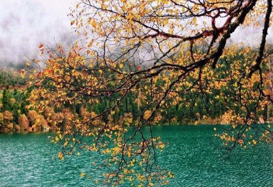 行程卡星号什么时候可以取消?带星号的行程卡可以去外地吗