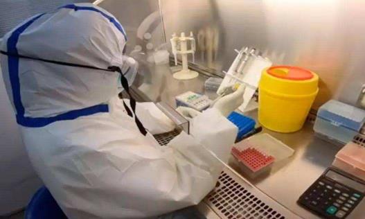 昨天做的核酸检测为什么手机查不到 核酸检测结果没出可以坐高铁吗