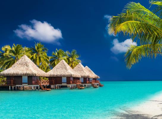 行程卡只能自己查自己的吗?行程卡只能查看今天的吗