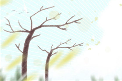 世界十大最美味泡面介绍 世界十大最美味泡面介绍