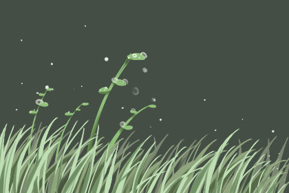 白露适宜的蔬果 饮食注意事项