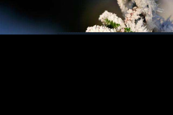 小寒节气适合搬家吗 小寒节气怎么养生