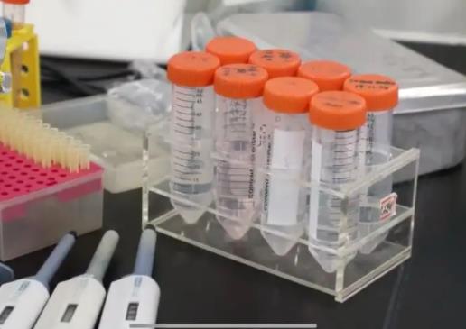 新冠自测一条杠还是两条杠是阳性?新冠自测盒网上哪些平台有卖的