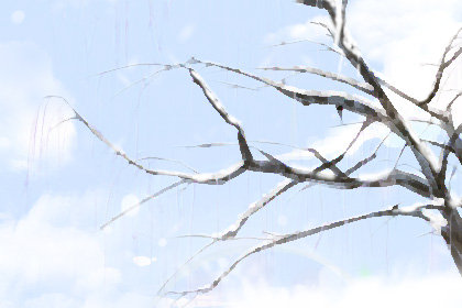 冬至南北方饮食差异 不同地区饮食 冬至南北方饮食差异 不同地区饮食