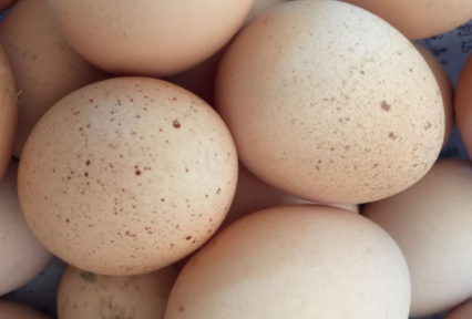 消肿用的鸡蛋还能吃吗2