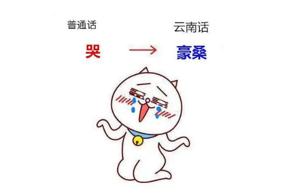 云南方言属于哪个方言区 云南方言老瓦抓是什么意思 云南方言属于哪个方言区 云南方言老瓦抓是什么意思