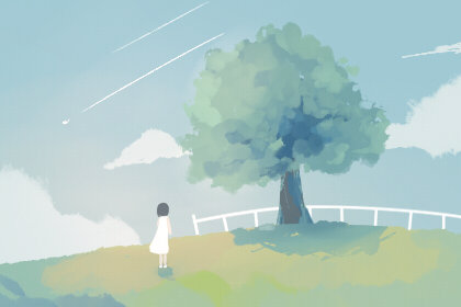 中国四大菜系和八大菜系的区别是什么 中国四大菜系和八大菜系的区别是什么