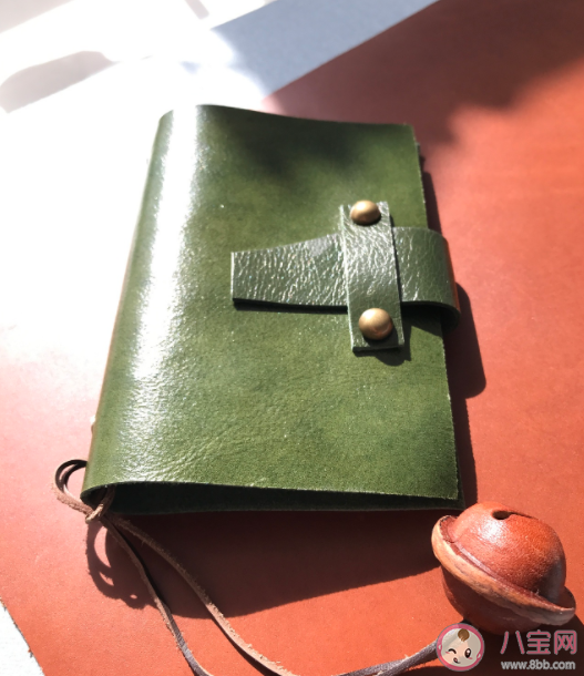 油蜡皮是指什么皮 油蜡皮怎么保养清洁 油蜡皮是指什么皮 油蜡皮怎么保养清洁