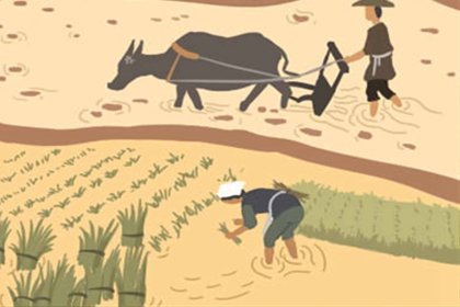 熘鱼片用什么鱼肉好 熘鱼片用什么鱼肉好