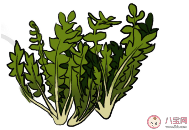 吃野菜可以抗癌吗 吃野菜的正确姿势 吃野菜可以抗癌吗 吃野菜的正确姿势