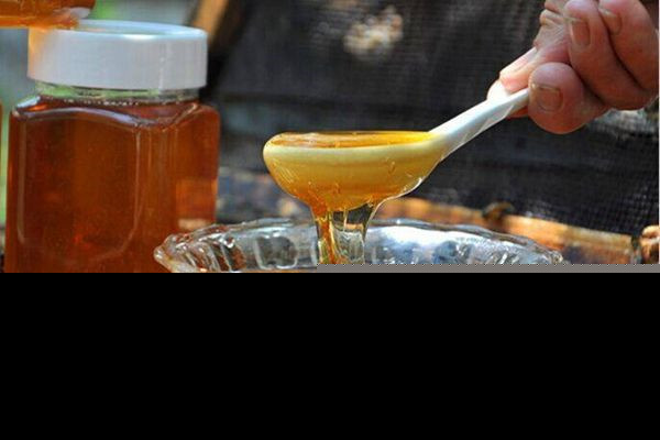 蜂蜜可以减肥是真的吗 蜂蜜的热量高吗