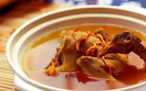 炖鸽子能放盐吗?炖鸽子不能放什么料?