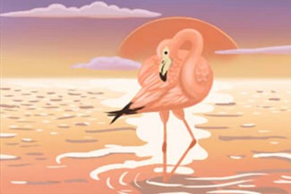 饮食文化 饮食文化