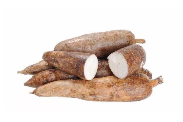 木薯是山药吗 木薯是发物吗 木薯是山药吗 木薯是发物吗