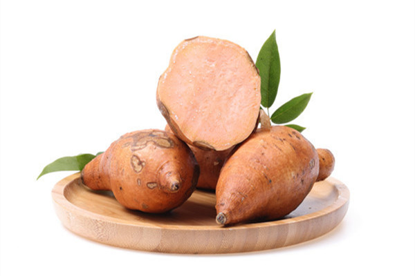 红薯发芽了能不能吃 红薯可以空腹吃吗 红薯发芽了能不能吃 红薯可以空腹吃吗