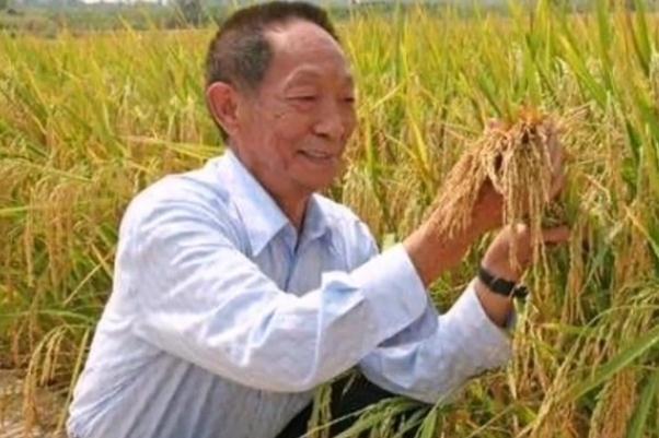 世界粮食日是每年的几月几日 世界粮食日的意义 世界粮食日是每年的几月几日 世界粮食日的意义