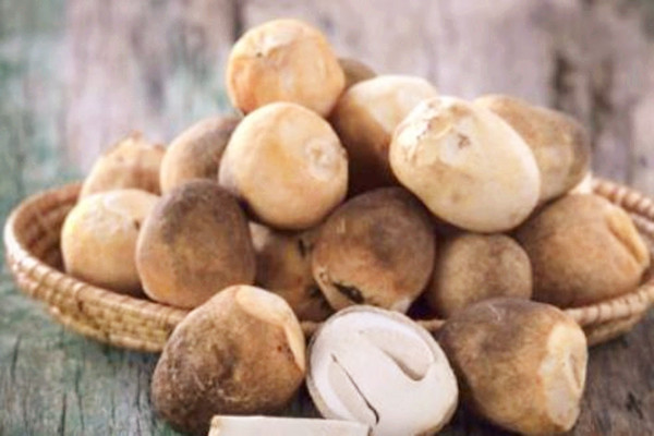 草菇的热量高吗 草菇能和鱼一起吃吗 草菇的热量高吗 草菇能和鱼一起吃吗