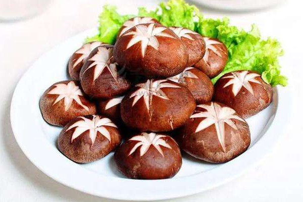 蘑菇有酒味能吃么 蘑菇变质吃了会中毒吗 蘑菇有酒味能吃么 蘑菇变质吃了会中毒吗