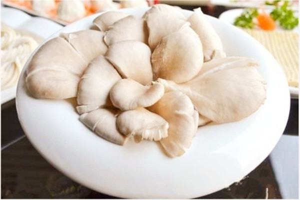 平菇发粘还能吃吗 平菇背面长疙瘩能吃吗 平菇发粘还能吃吗 平菇背面长疙瘩能吃吗