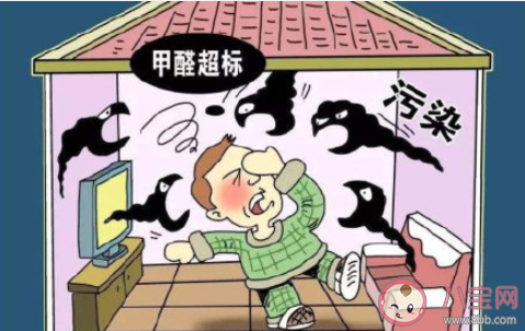 甲醛通常容易藏在哪些物品中 哪些好方法能有效除去甲醛 甲醛通常容易藏在哪些物品中 哪些好方法能有效除去甲醛