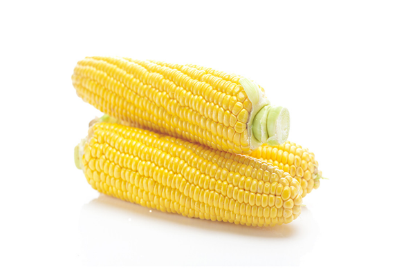 玉米需要放冰箱吗 玉米怎么保存时间长一点 玉米需要放冰箱吗 玉米怎么保存时间长一点
