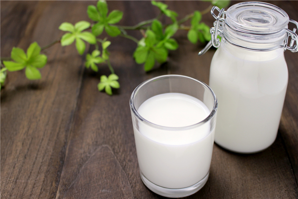 儿童喝牛奶可以长高吗 儿童喝牛奶的好处有哪些 儿童喝牛奶可以长高吗 儿童喝牛奶的好处有哪些