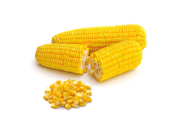 玉米需要放冰箱吗 玉米怎么保存时间长一点 玉米需要放冰箱吗 玉米怎么保存时间长一点