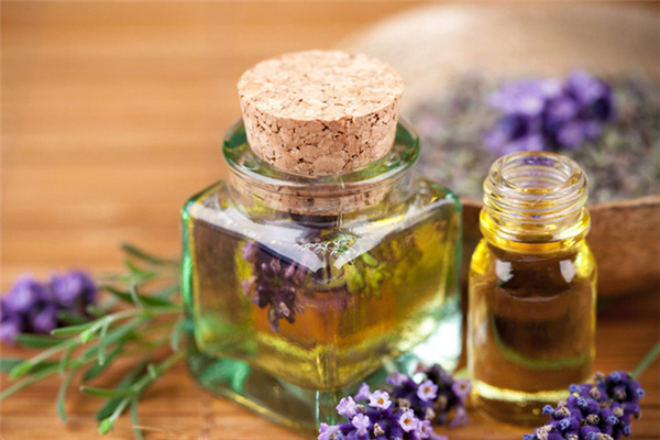 薰衣草精油可以大规模涂抹吗 薰衣草精油涂多了怎么办 薰衣草精油可以大规模涂抹吗 薰衣草精油涂多了怎么办