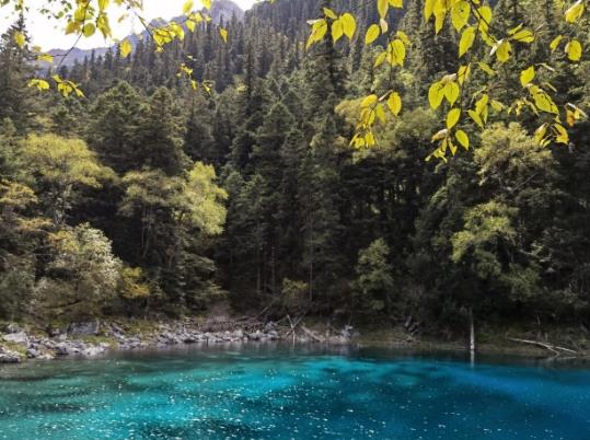 行程卡星号什么时候可以取消?带星号的行程卡可以去外地吗