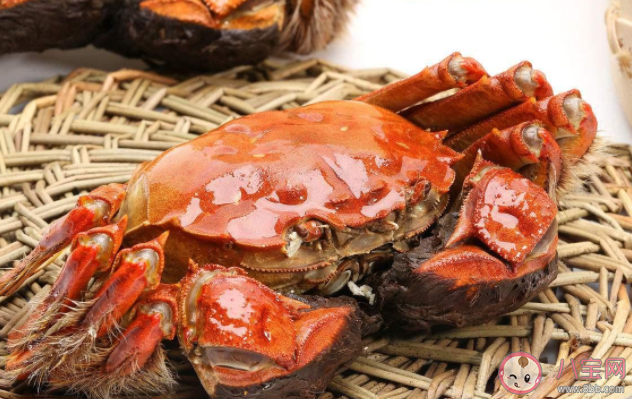 螃蟹的正确吃法是什么 什么样的螃蟹千万不能吃 螃蟹的正确吃法是什么 什么样的螃蟹千万不能吃